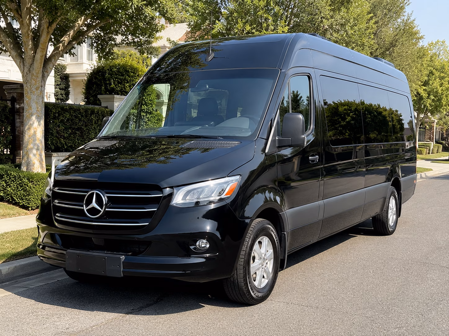 montgomery sprinter van with driver